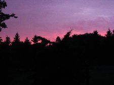 Rainy Sunset purple